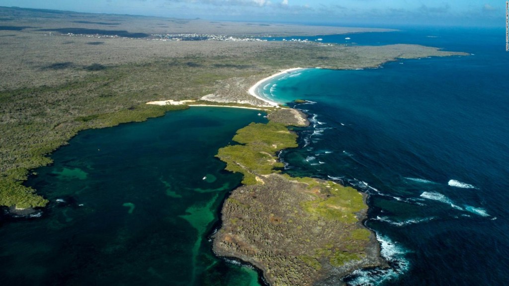 Más de 4 toneladas de basura se recogen en las Islas Galápagos