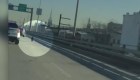 Las travesuras de un cordero en plena autopista en Brooklyn