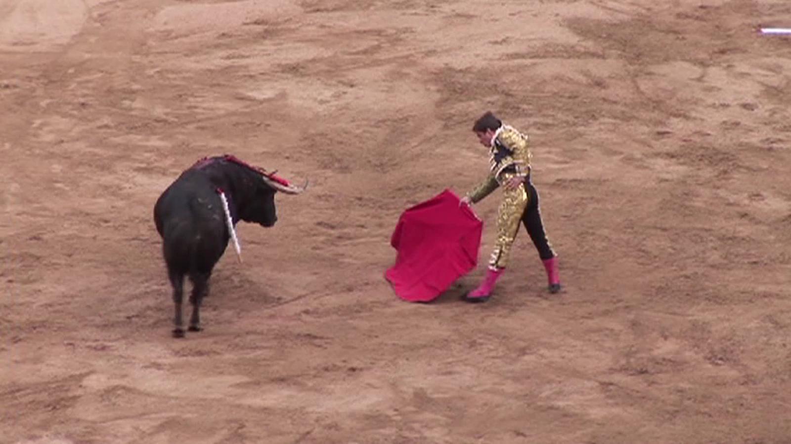 Las corridas de toros no son maltrato animal, ratifica Corte