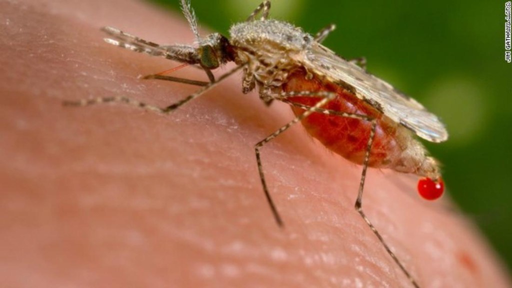 Primera vacuna malaria niños África