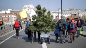 Activistas en Londres protestan con plantas y árboles
