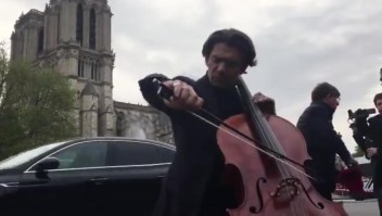 Músico rinde homenaje a Notre Dame con su chelo