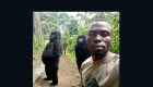 Gorilas posan en un selfi