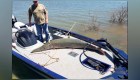 Atrapan pez prehistórico de 77 kilos en un lago de EE.UU.