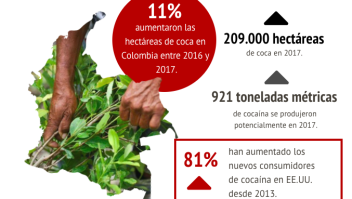 Coca Colombia cocaína consumo EEUU