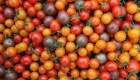 #CifraDelDía: El tomate podría costar hasta 85% más