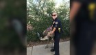 La policía salió al rescate de un Emu