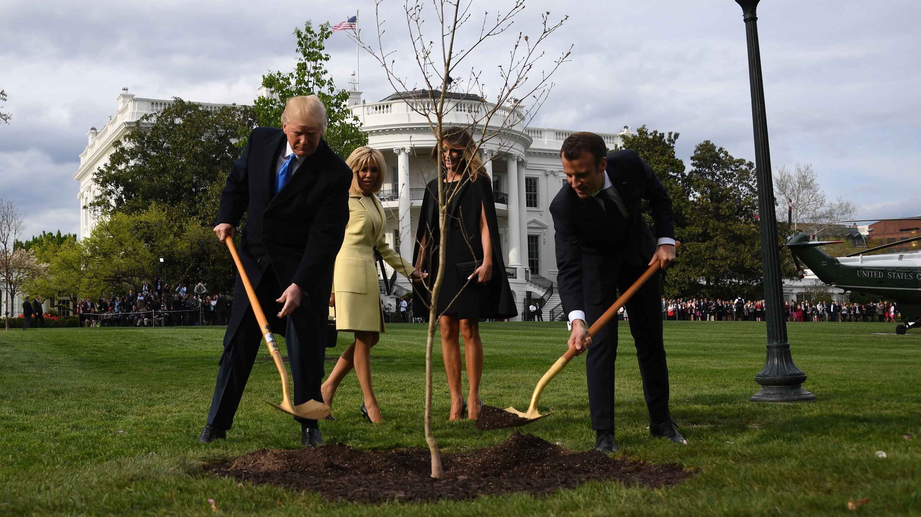 Muere El árbol Que Sembraron Trump Y Macron Para Simbolizar Su Amistad Cnn 