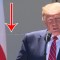 Una telaraña se coló en una conferencia de Trump