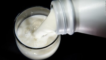 día mundial leche