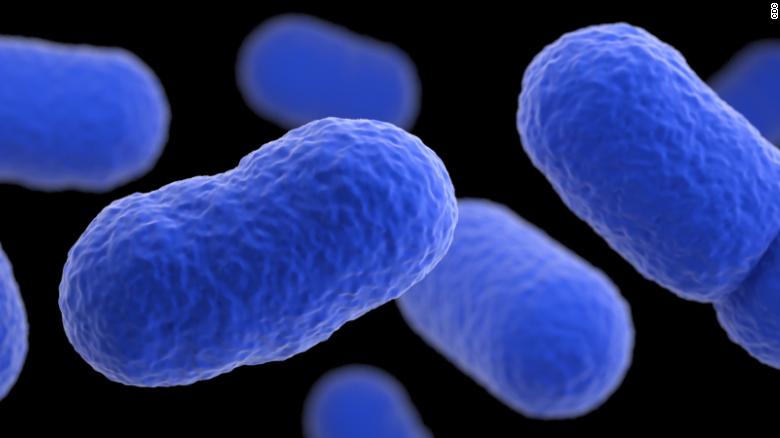 What Is Listeria? Everything You Need To Know About The Bacteria That ...