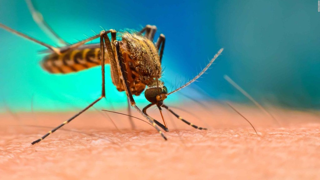 Honduras, en alerta por casos de dengue hemorrágico
