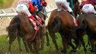 Nueva York: doce caballos de carreras mueren en julio