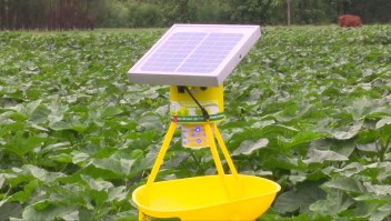 Este dispositivo elimina los insectos usando energía solar