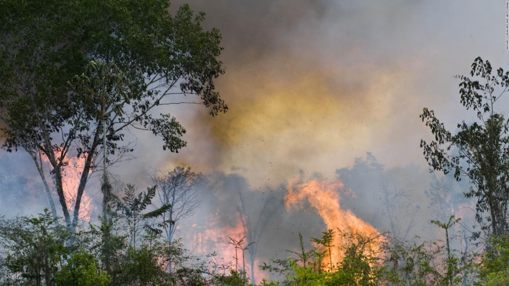 Las implicaciones de los incendios en la Amazonía