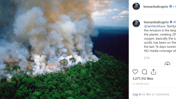 Algunas de las fotos más compartidas de los fuegos en la  Amazonía son viejas o ajenas