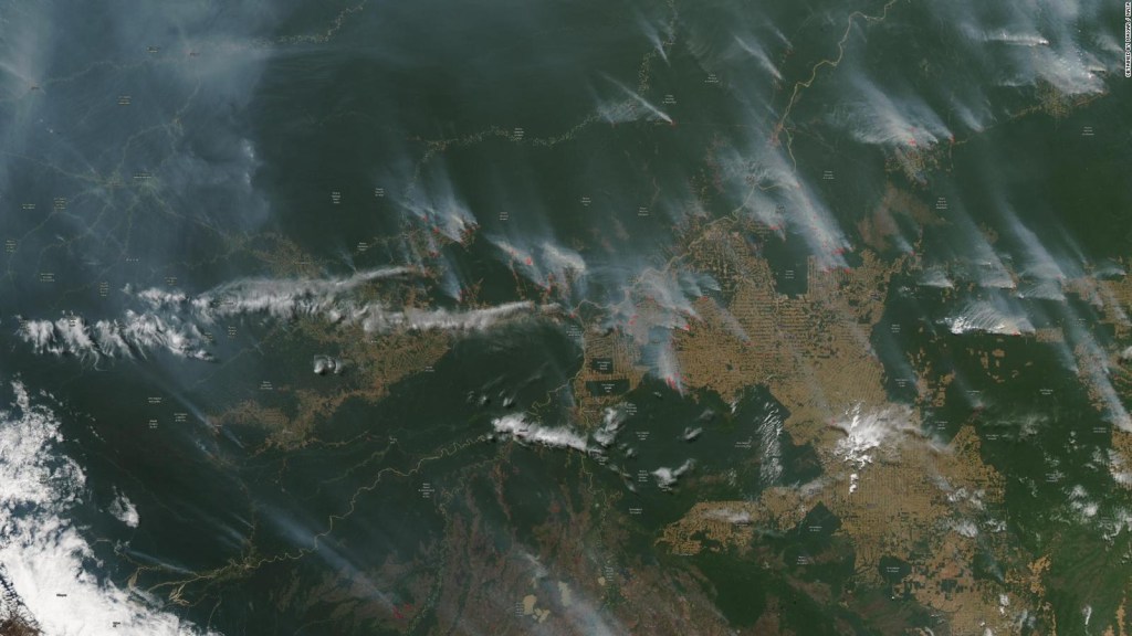 ¿Qué debe hacer la comunidad internacional ante los incendios en la Amazonía?