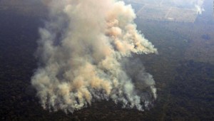 Incendios en la selva amazónica encienden las alarmas
