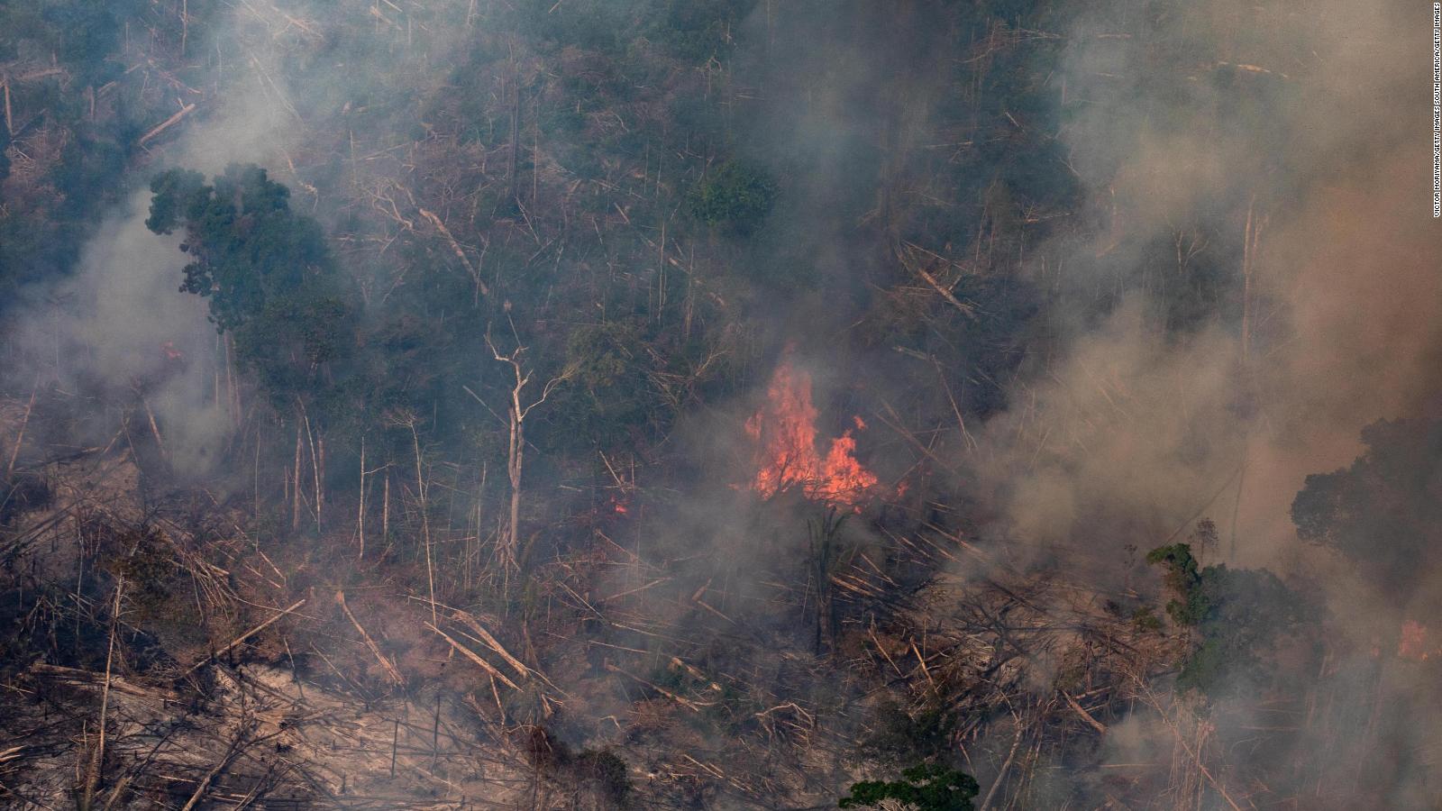 ¿Qué tres efectos tendrían los incendios en el Amazonas?