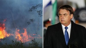 Viale: Bolsonaro es candidato a que se lo juzge por ecocidio
