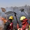Firefighters try to control a fire near Charagua, Bolivia, in the border with Paraguay, south of the Amazon basin, on August 29, 2019. - Fires have destroyed 1.2 million hectares of forest and grasslands in Bolivia this year, the government said on Wednesday, although environmentalists claim the true figure is much greater. The news comes after leftist President Evo Morales suspended his re-election campaign on Monday to direct the government's response to a growing environmental disaster in the Bolivian portion of the Amazon rainforest, where wildfires have been raging since May. (Photo by AIZAR RALDES / AFP) (Photo credit should read AIZAR RALDES/AFP/Getty Images)