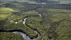 Lo que hay detrás de la deforestación del Amazonas