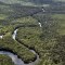 Lo que hay detrás de la deforestación del Amazonas