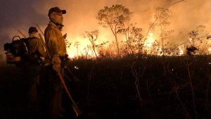 ¿Quién es responsable de los incendios en el Amazonas?