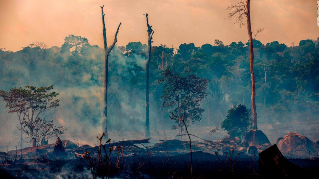 ¿Cuánto CO2 emiten los incendios forestales en el mundo?