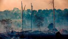 ¿Cuánto CO2 emiten los incendios forestales en el mundo?
