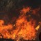 Incendios queman 2 millones de hectáreas en Bolivia