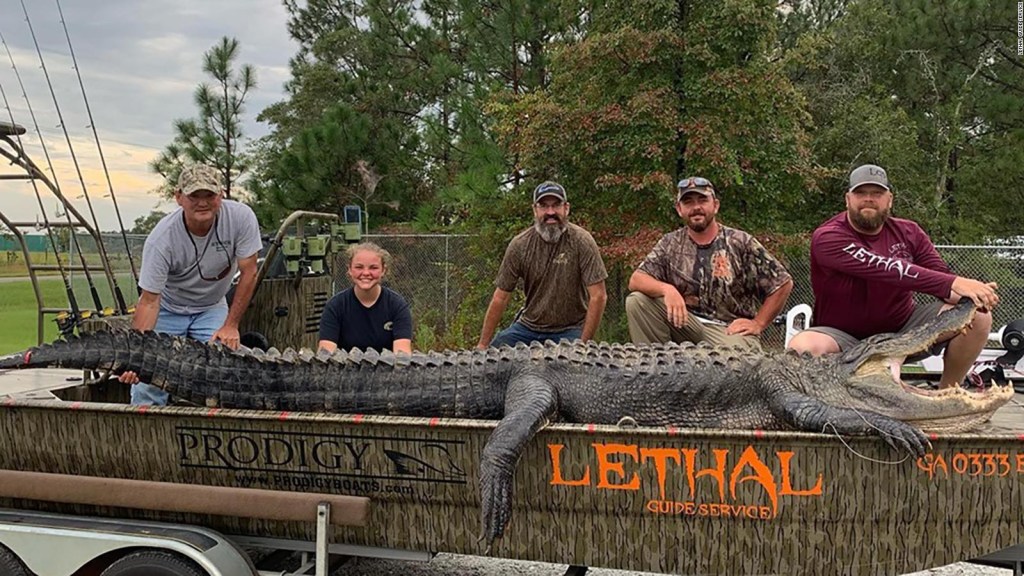 Cazan un caimán de más de cuatro metros en Georgia