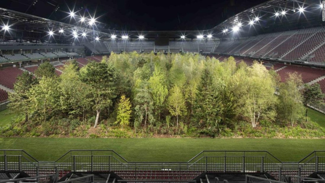 Estadio de fútbol se transforma en tupido bosque