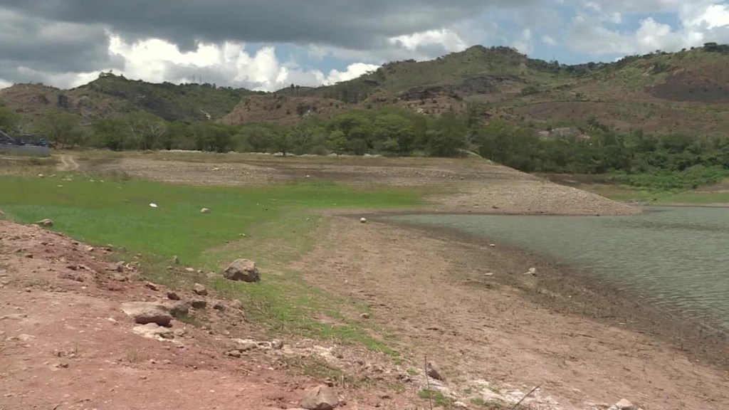 Grave sequía en Honduras mata cultivos y ganado
