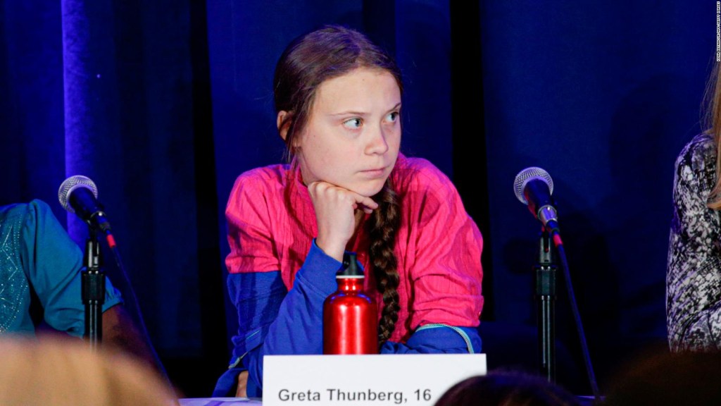 Greta no se salva de las críticas