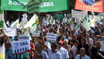 Productores de aceite de oliva protestan en Madrid pidiendo mejores precios