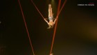 Bailarina uruguaya protagoniza espectáculo del Cirque du Soleil