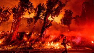 ¿Una pausa en los incendios en California?