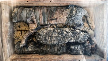 Inusual hallazgo de momias de animales sagrados en Egipto