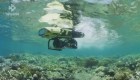 Australia: un robot ayuda a salvar los corales