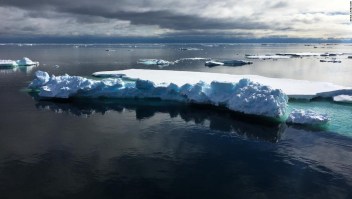calentamiento global hielo artico virus especies moquillo