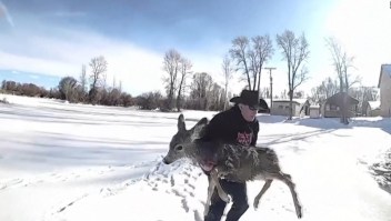 Rescatan a un ciervo de un lago congelado