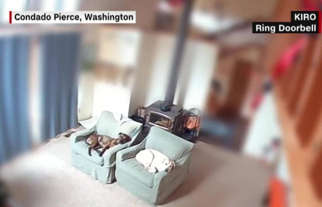 Intruso hackear una cámara de seguridad hogareña | Video CNN