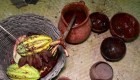 ¿Es México la cuna del mejor chocolate?