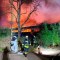 Mueren decenas de animales tras incendio en zoológico