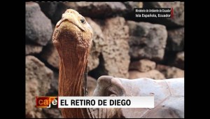 La tortuga Playboy de las Galápagos se retira
