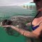 Marea roja mata a cientos de tortugas en Oaxaca