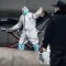Médicos de Wuhan luchan para contener el coronavirus
