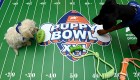 Conoce al Puppy Bowl, el Super Bowl de perros