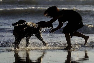 ¿Cómo es la primera playa para perros en Argentina? (Foto de Télam).